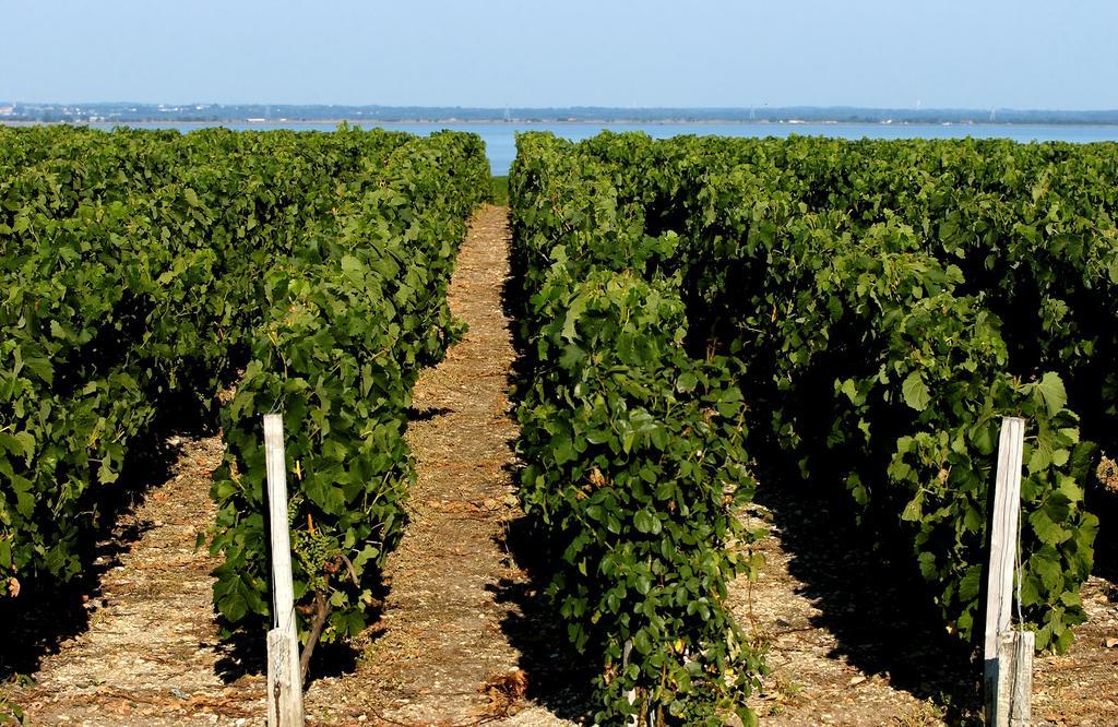 Vvf Soulac-Sur-Mer Bordeaux Medoc Exterior photo